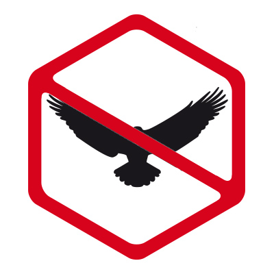 aves.jpg