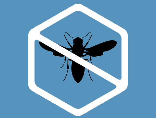 control-avispas.jpg