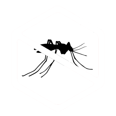 mosquitos.png