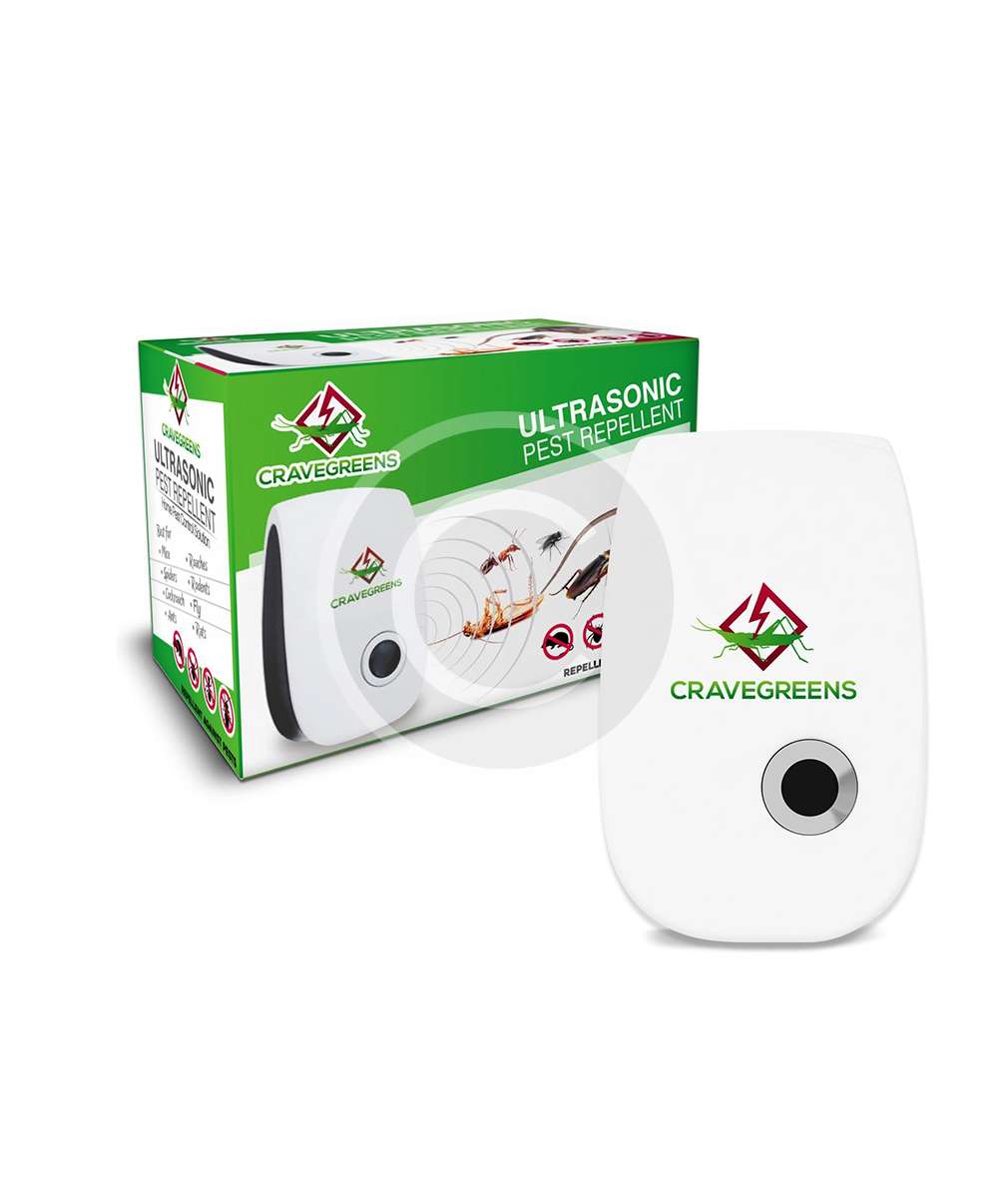 product-3.jpg