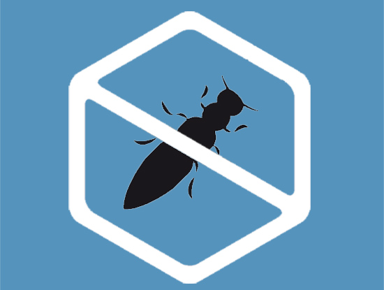 termitas-plaga-barcelona.jpg