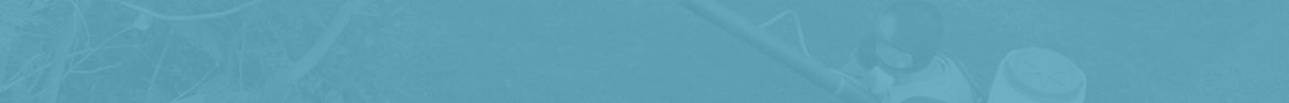 fondo-breadcrumb.jpg