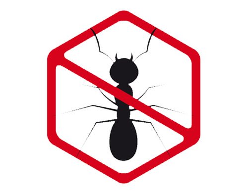 control-de-plagas-2.jpg