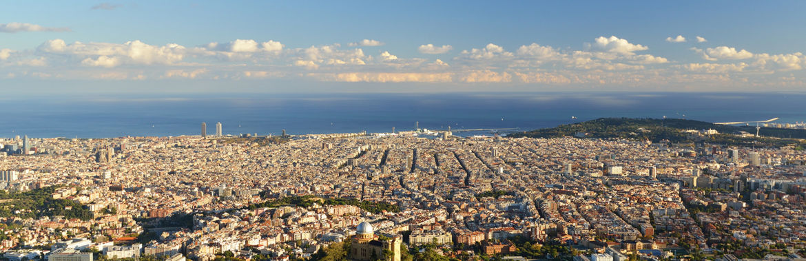 desratizacion-en-barcelona.jpg