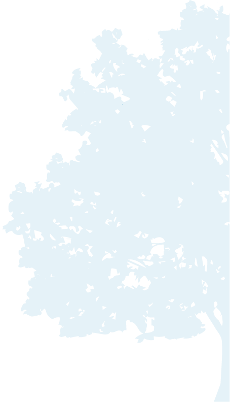 arbol-CECSA-azul.png