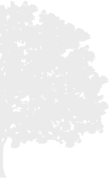 arbol-CECSA-negro.png