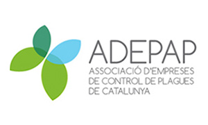 logo-adepat.jpg