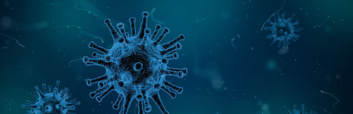 slider-virus.jpg