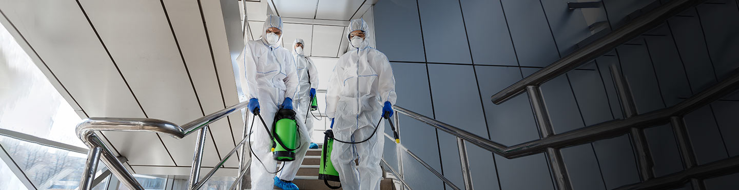 Logo Cecsa Desinfecciones - Empresa de Control de Plagues y Fumigaciones Barcelona